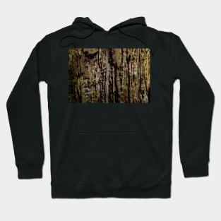 Old Wood Close up Hoodie